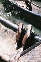 Marikina Mule